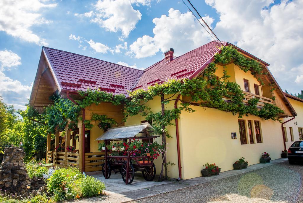 Casa Andreea Hotel Sucevita Bagian luar foto