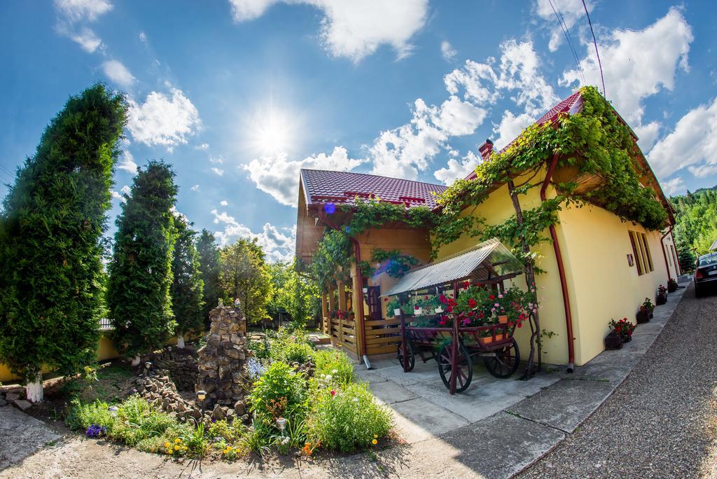 Casa Andreea Hotel Sucevita Bagian luar foto